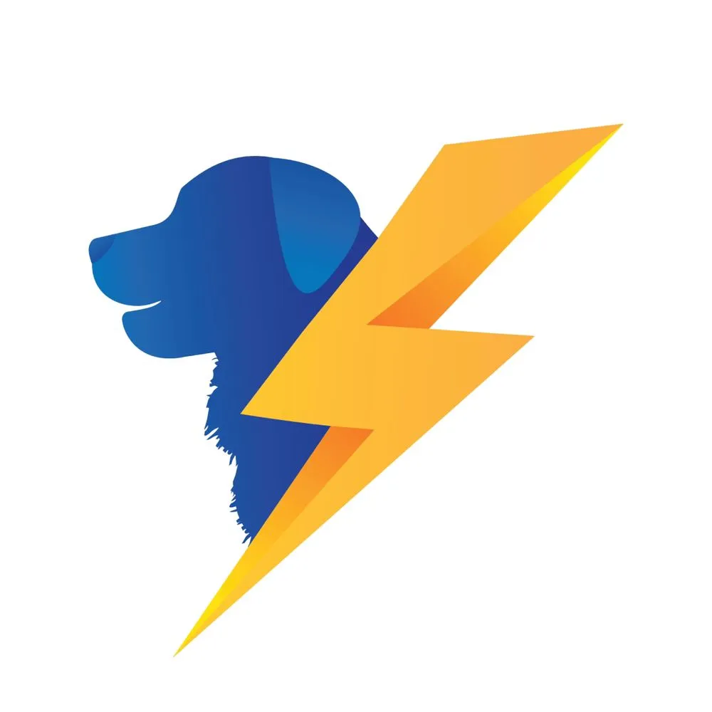 Emergency panel upgrade service in Spotsylvania, VA - Big Dogs Electric