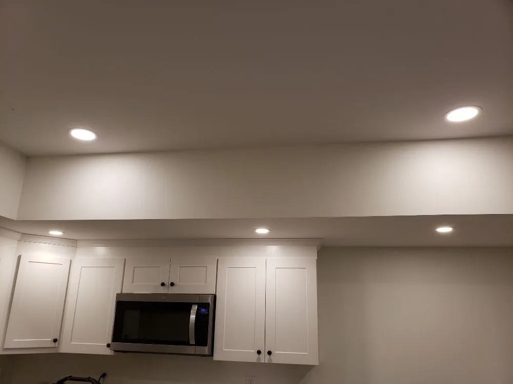 Slide of Big Frog Electric