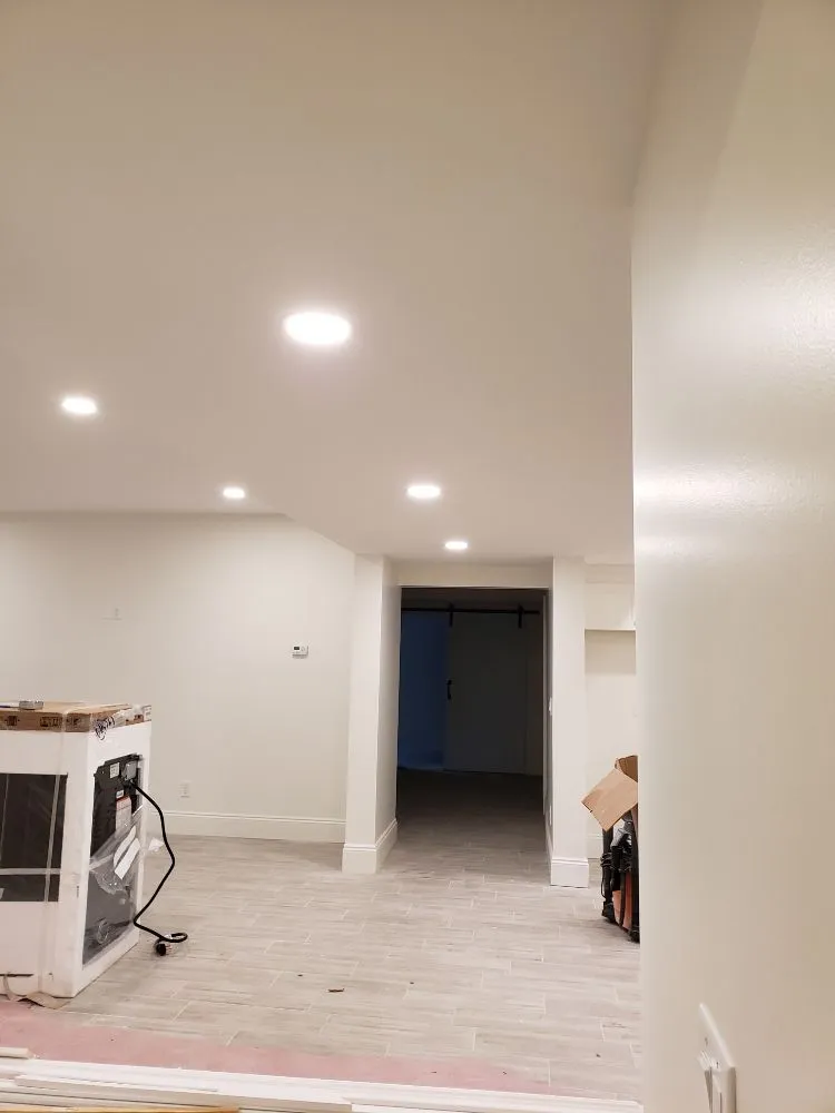 Slide of Big Frog Electric