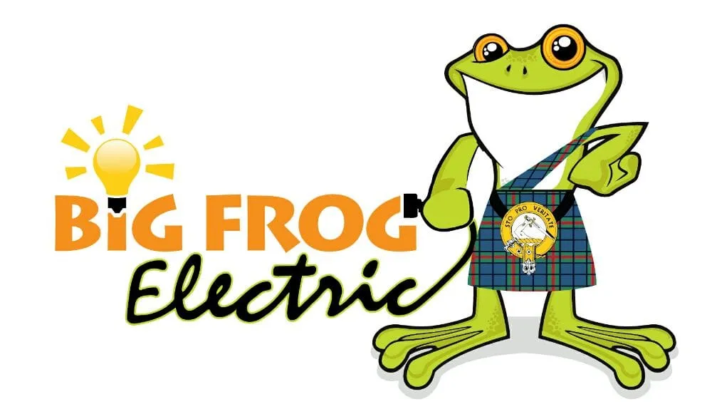 Slide of Big Frog Electric