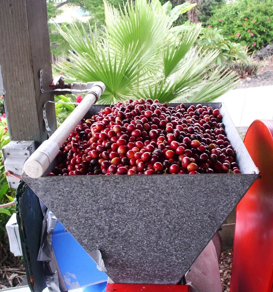 Slide of Big Island Electric