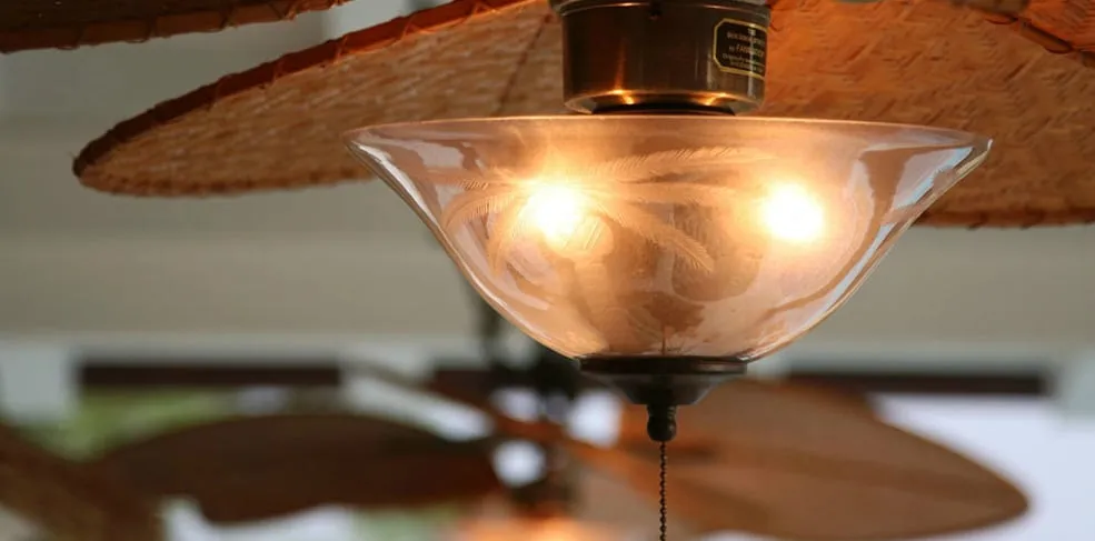 Slide of Big Island Electric