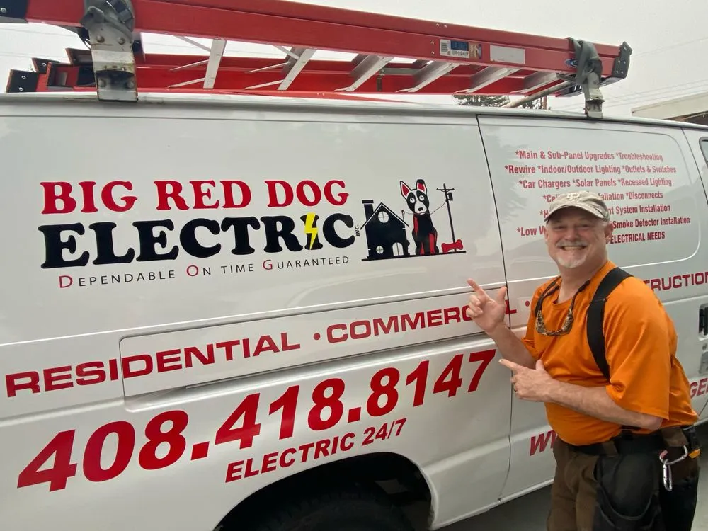 Slide of Big Red Dog Electric