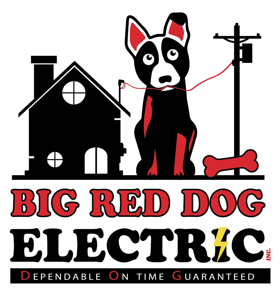 Slide of Big Red Dog Electric