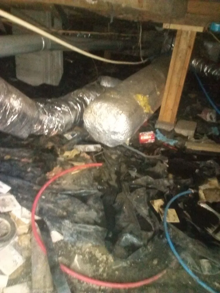 Slide of Biggz Residential Services