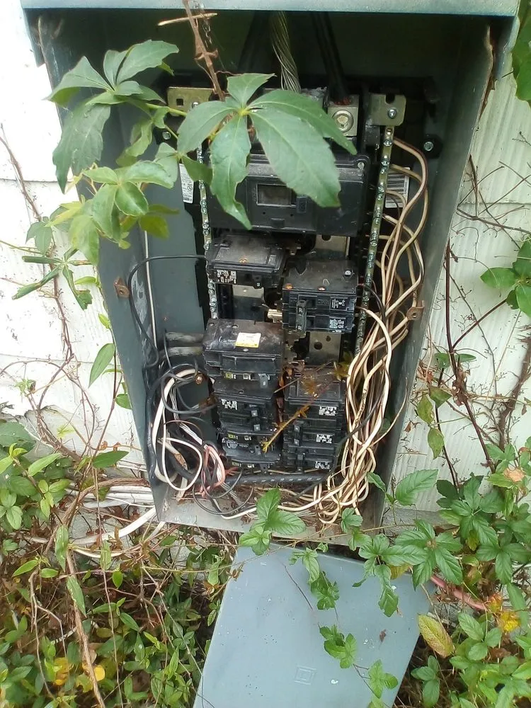 Slide of Biggz Residential Services