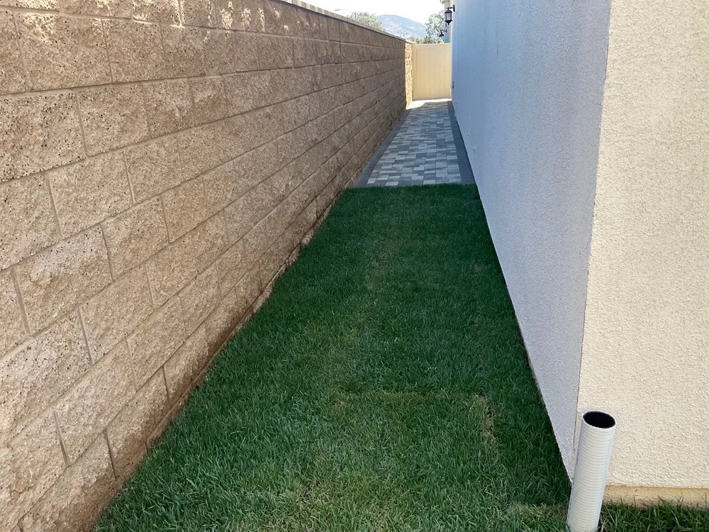 Affordable electrician providing outlet and switch repair in , 