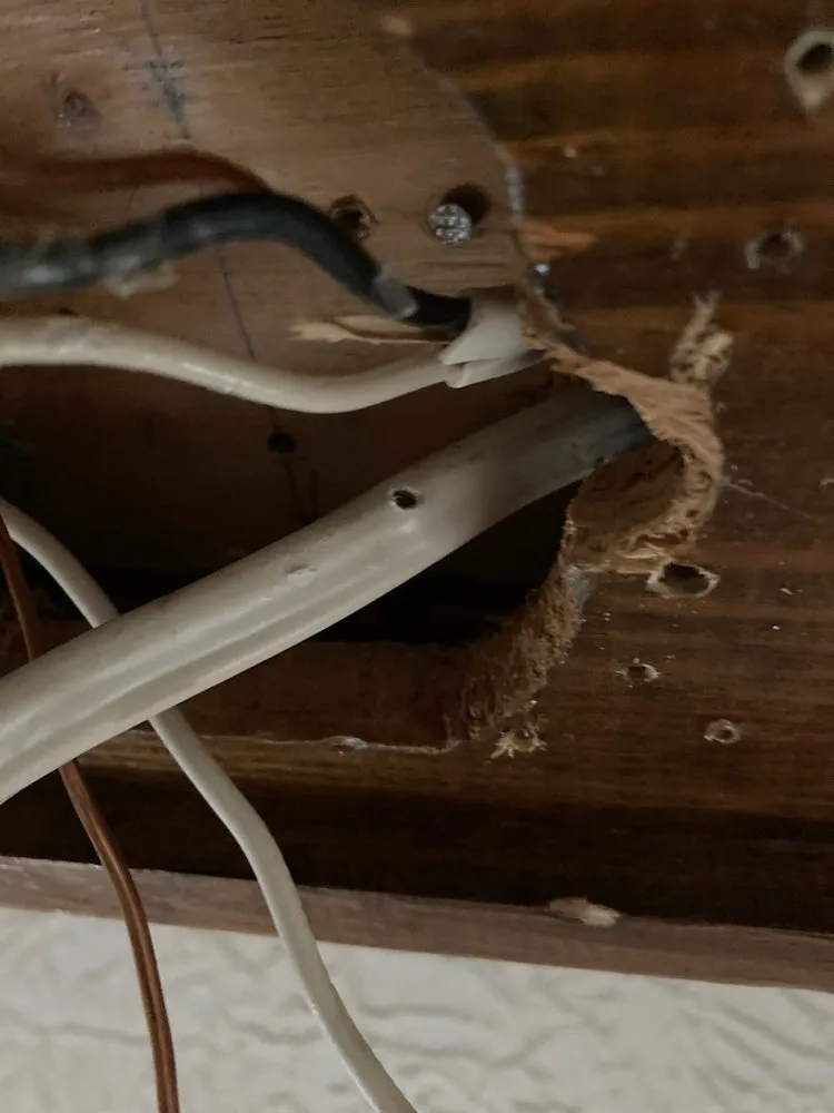 Slide of Billy Beard Electric