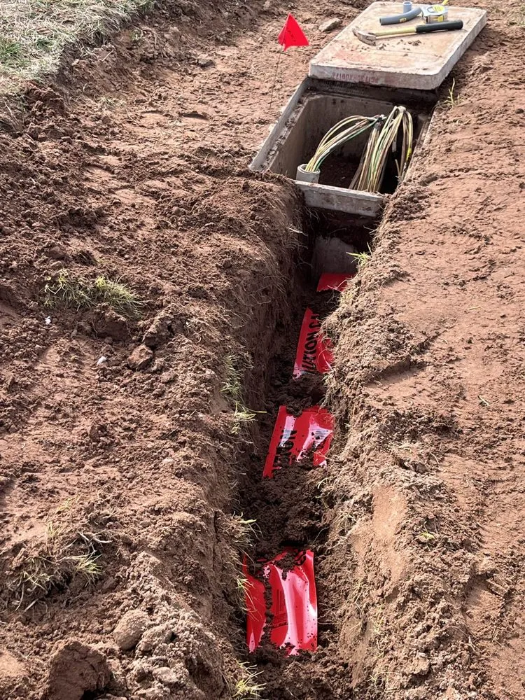 Slide of Billy Z's Electric