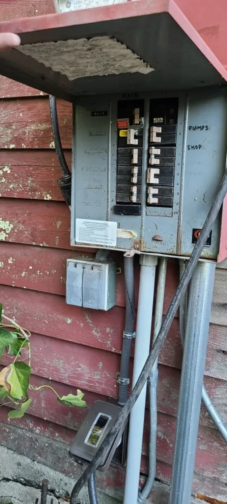 Slide of Bingo Electric