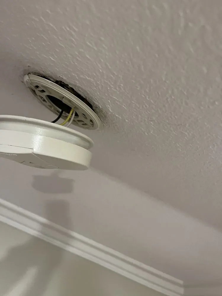 Slide of Bingo Electric