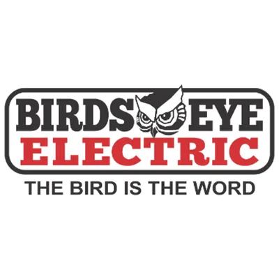 Birds Eye Electric Logo
