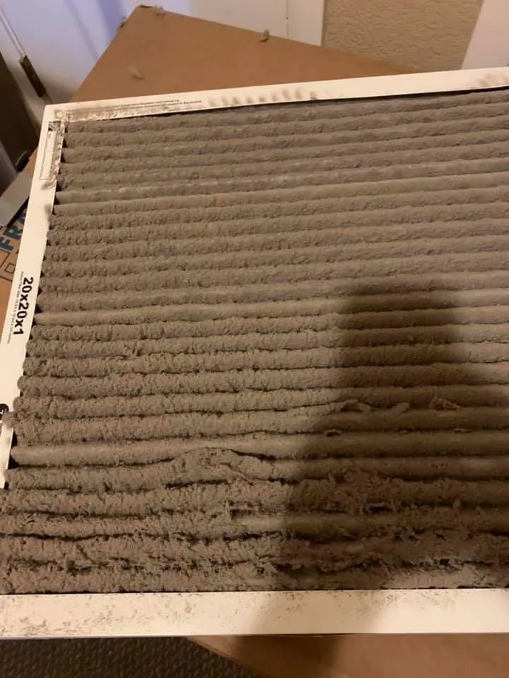 Slide of Birds Handyman services