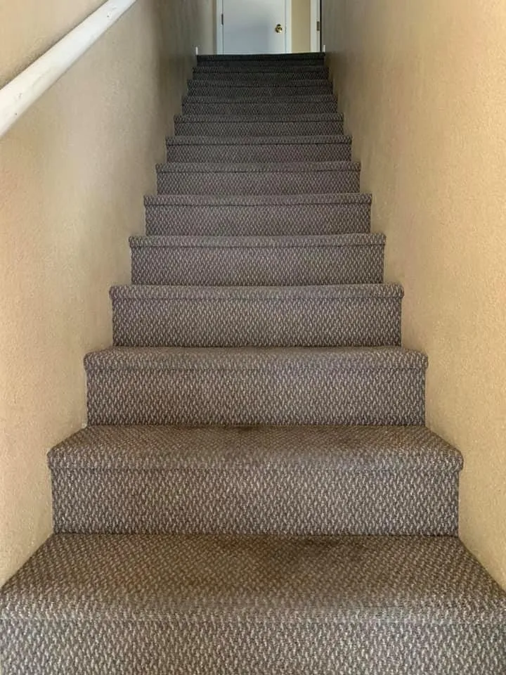 Slide of Birds Handyman services