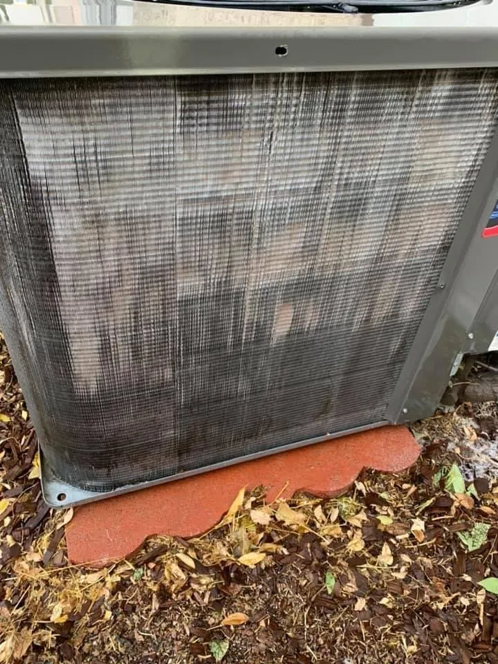 Slide of Birds Handyman services