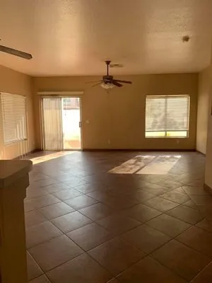 Birds Handyman services Logo