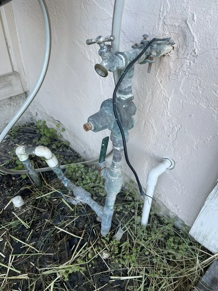 Slide of Bird's Home Services