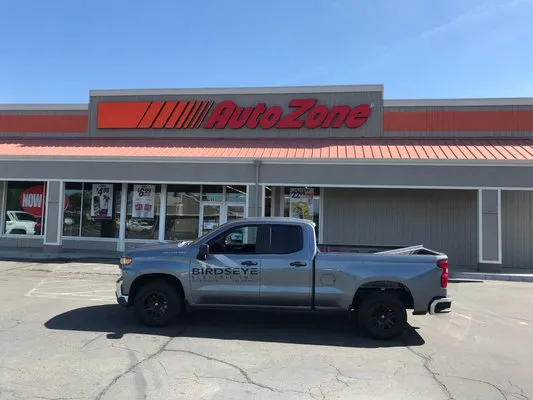 Birdseye Electric Logo