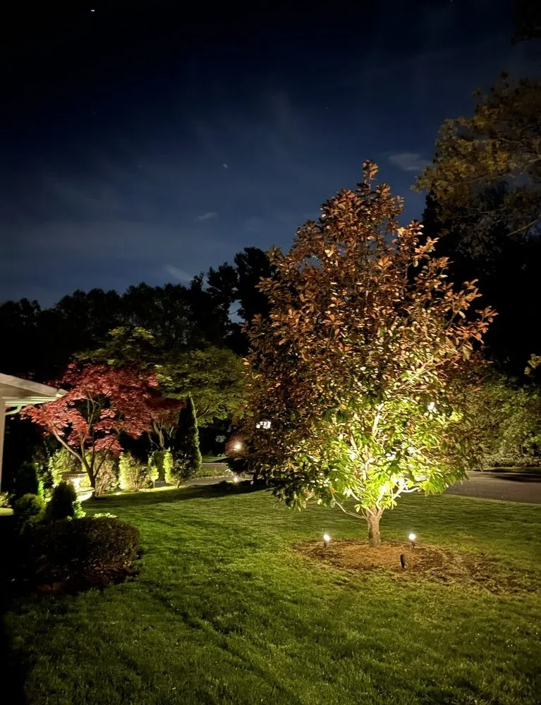 Slide of Biton Development