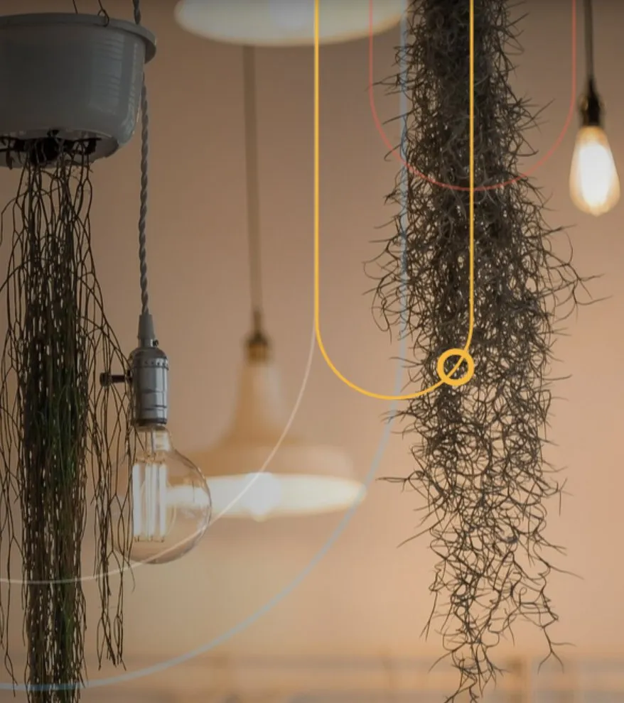 Slide of BL Electrical Solar Services