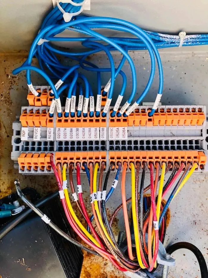 Slide of Black Bird Electric