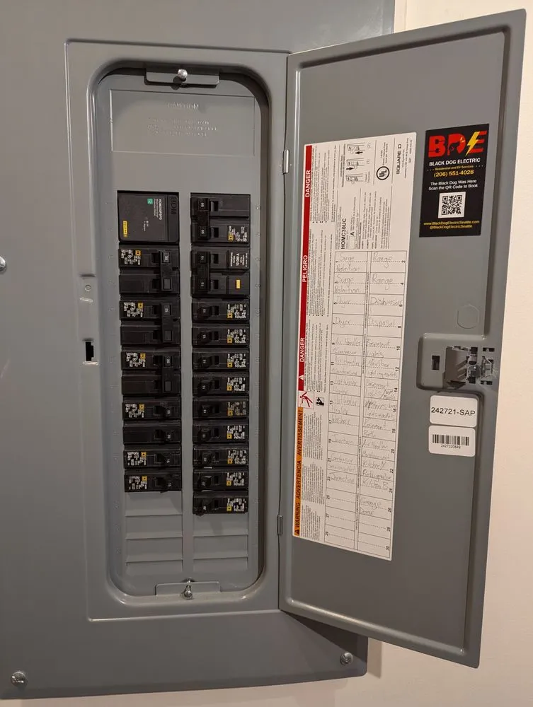 Slide of Black Dog Electric