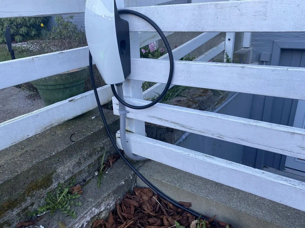 Slide of Black Dog Electric