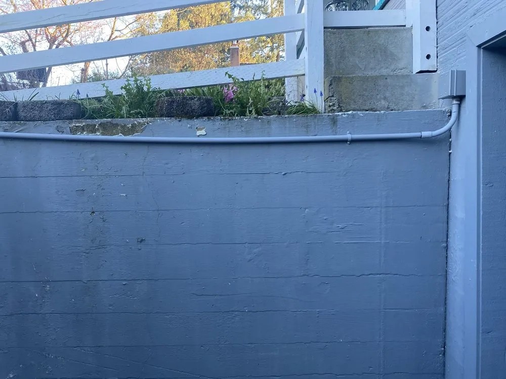 Slide of Black Dog Electric