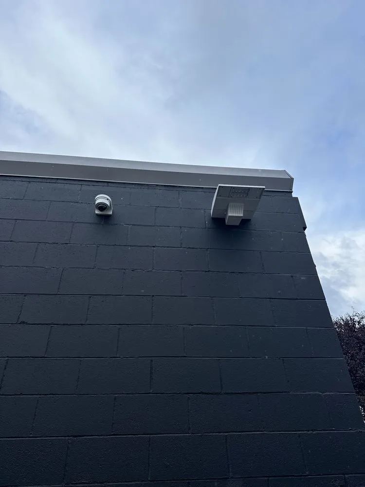 Slide of Black Dog Electric