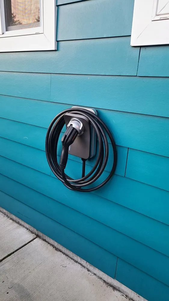 Slide of Black Dog Electric