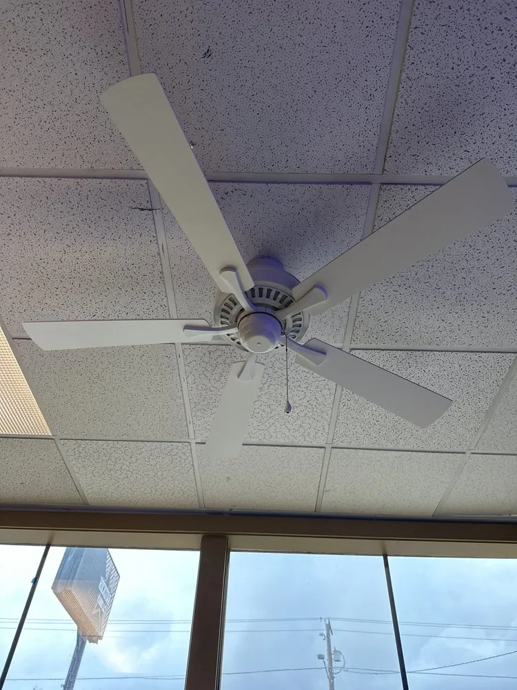 Slide of Black Dog Electric