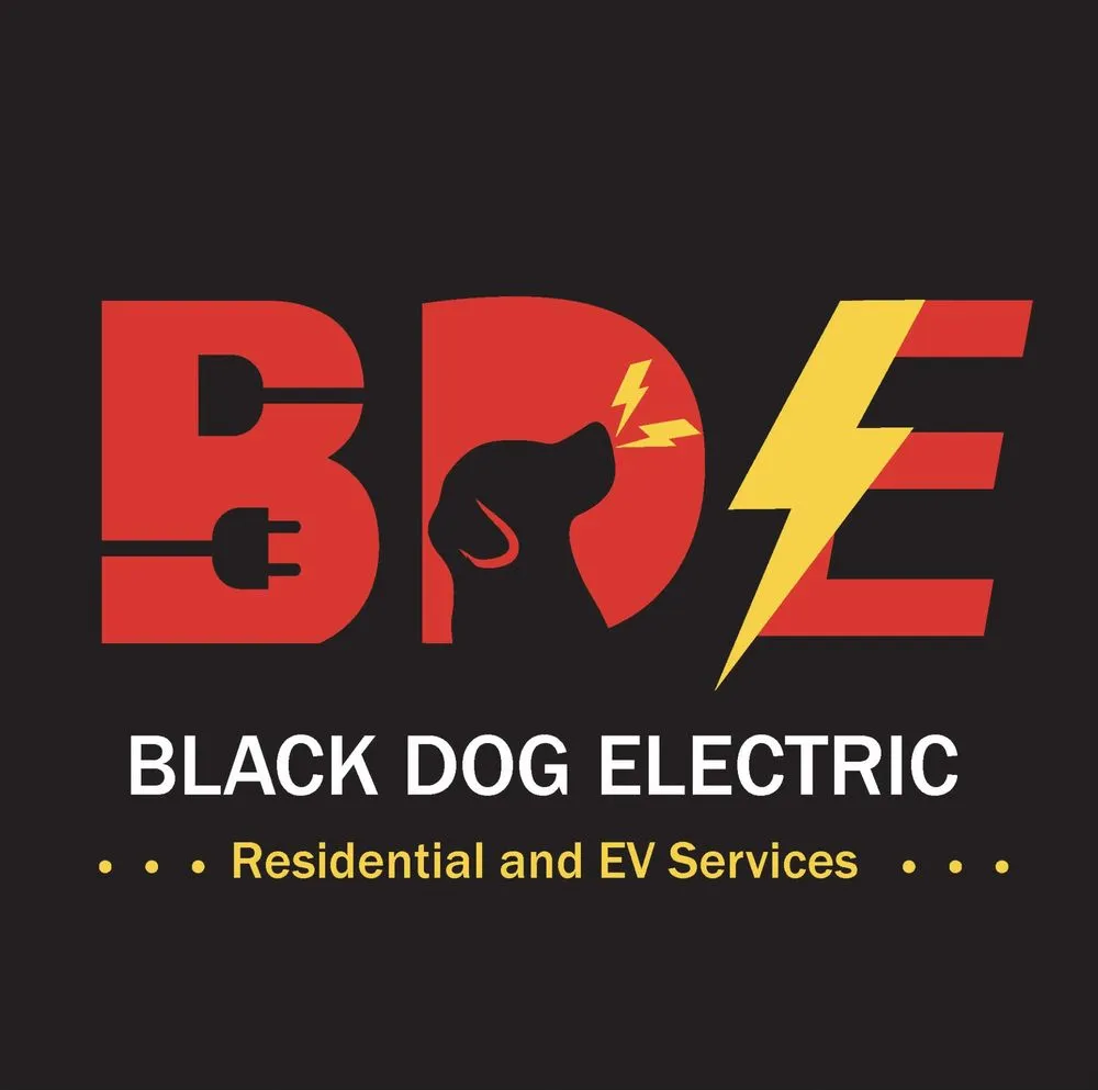 Slide of Black Dog Electric