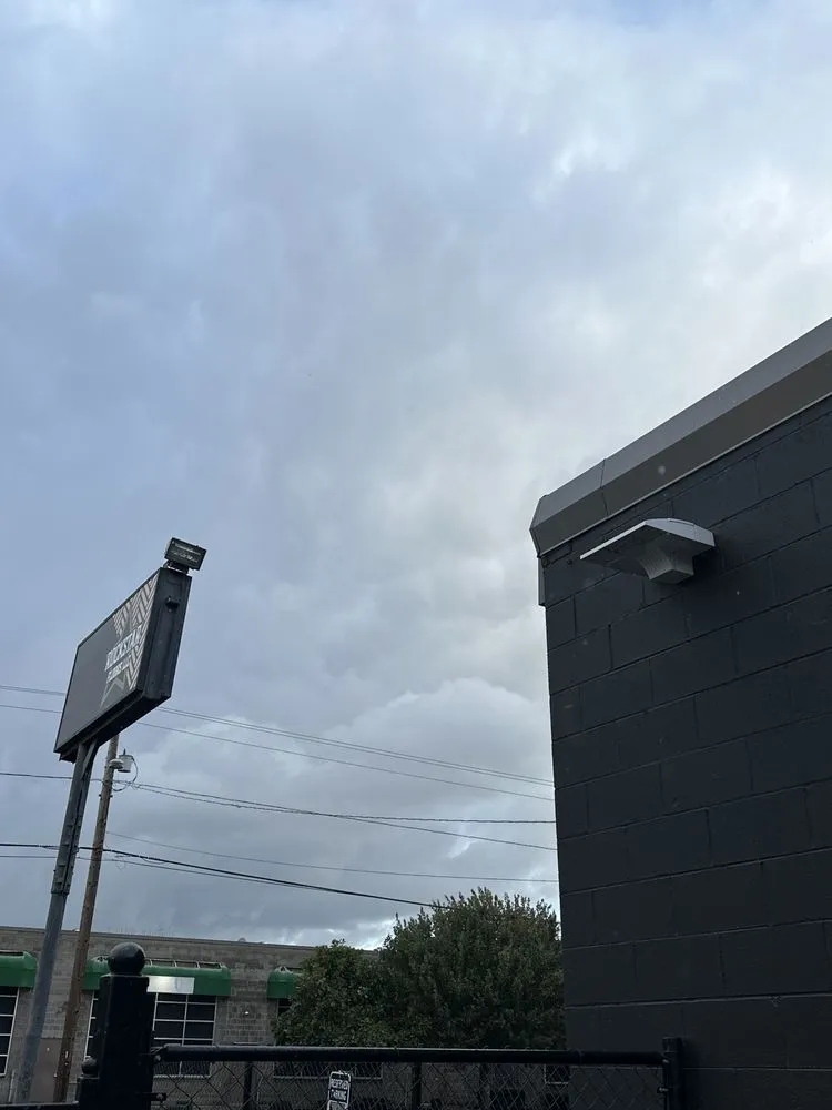 Slide of Black Dog Electric