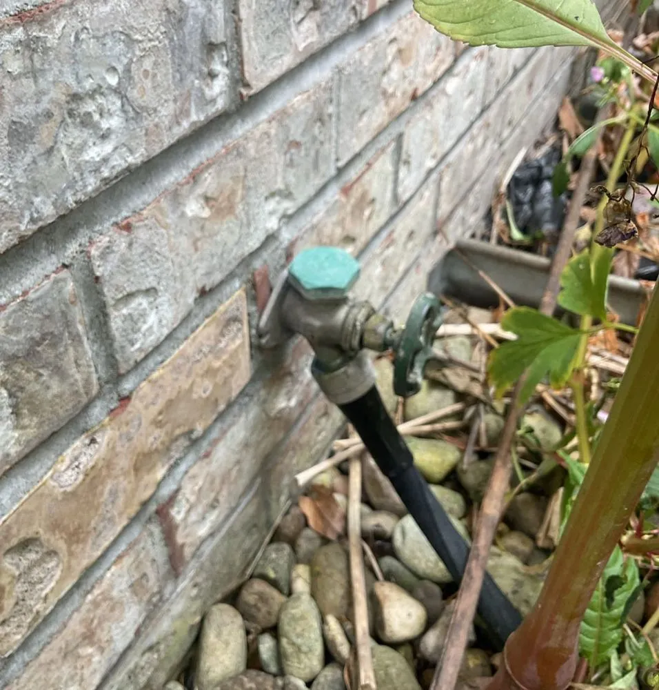 Slide of Black Hills