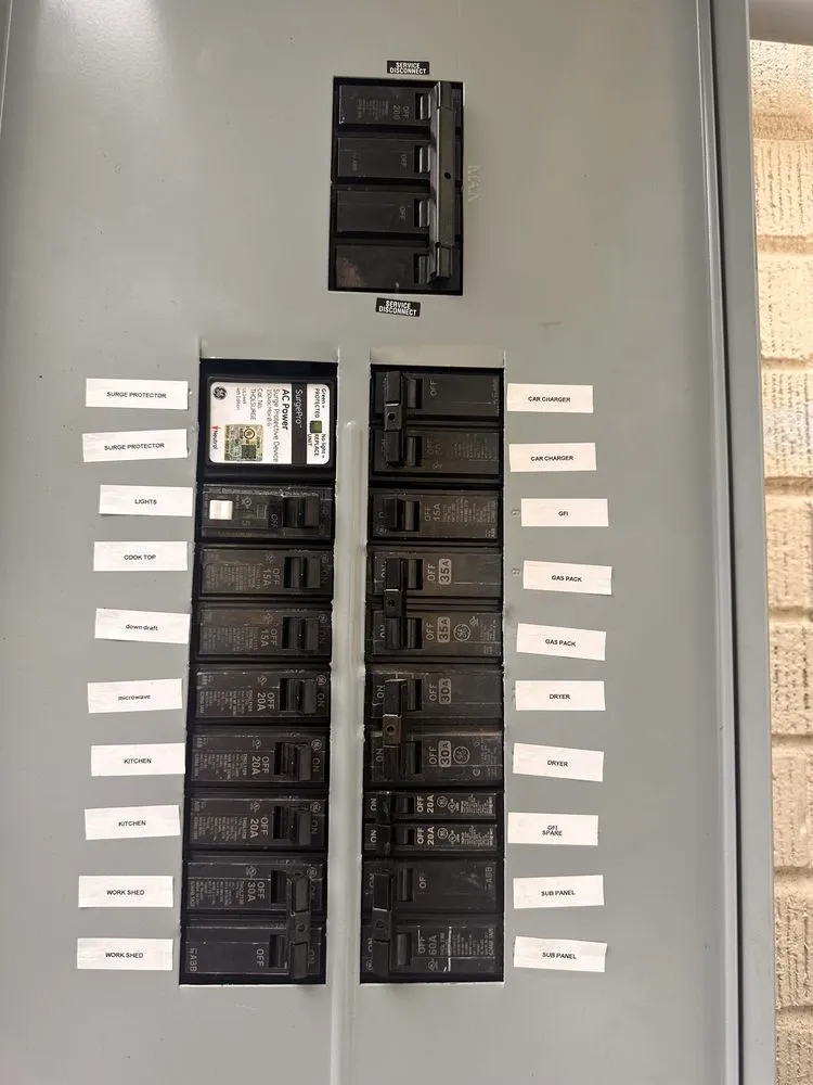 Slide of Black Lab Electric