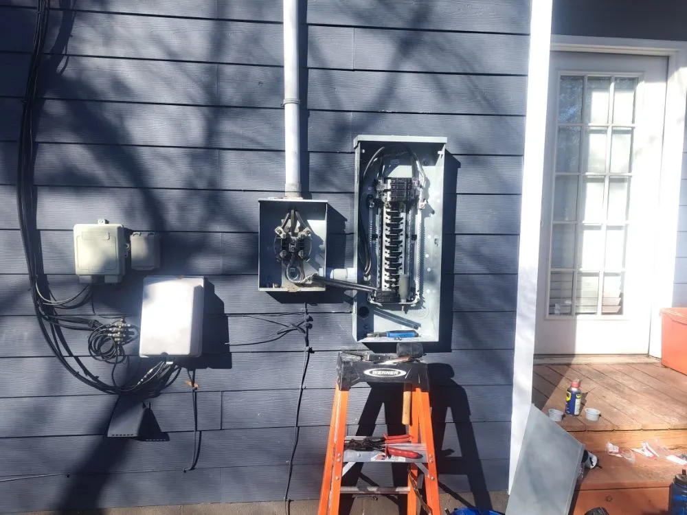 Slide of Black Lab Electric