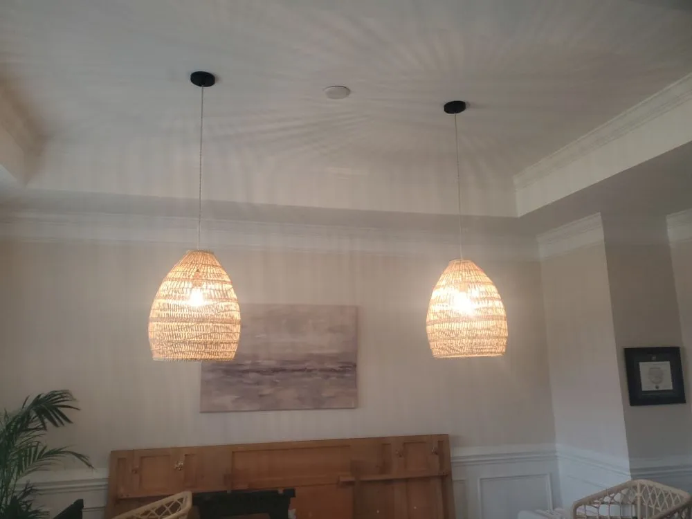 Slide of Black Lab Electric