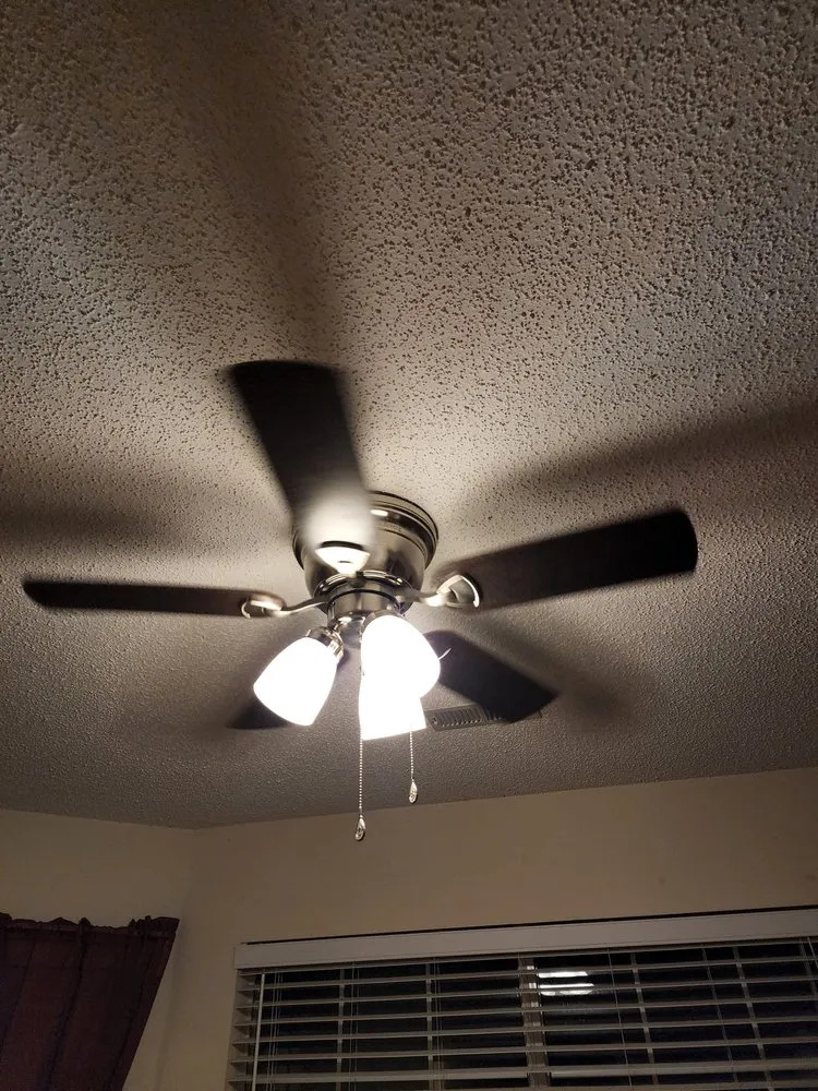 Slide of Black Lab Electric