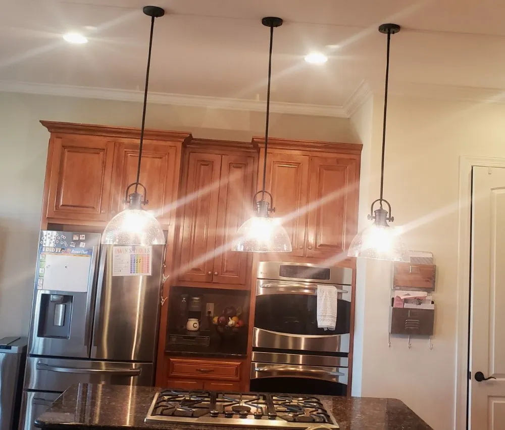 Slide of Black Lab Electric