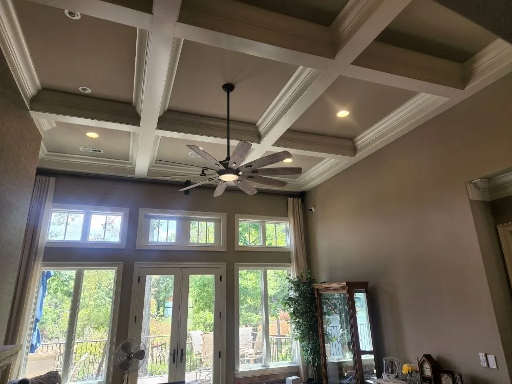 Slide of Black Lab Electric