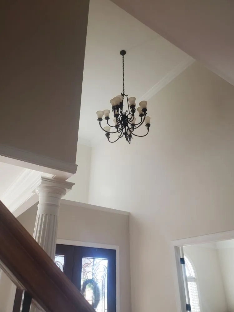 Slide of Black Lab Electric