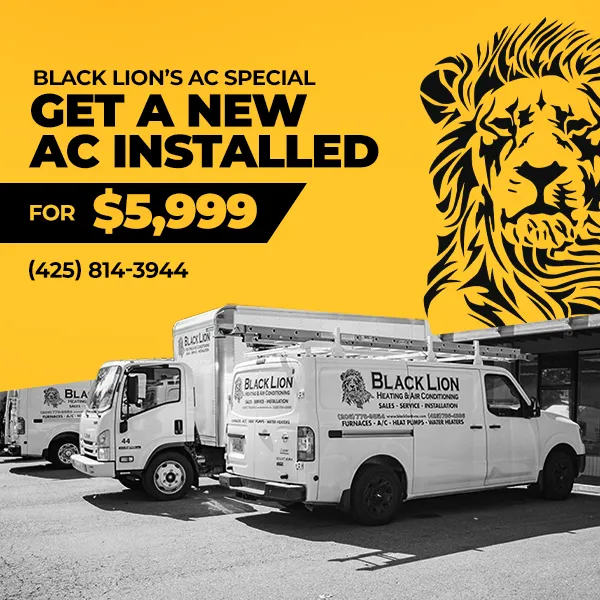 Slide of Black Lion Heating & Air Conditioning