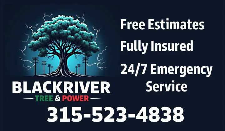 Slide of Black River Tree & Power