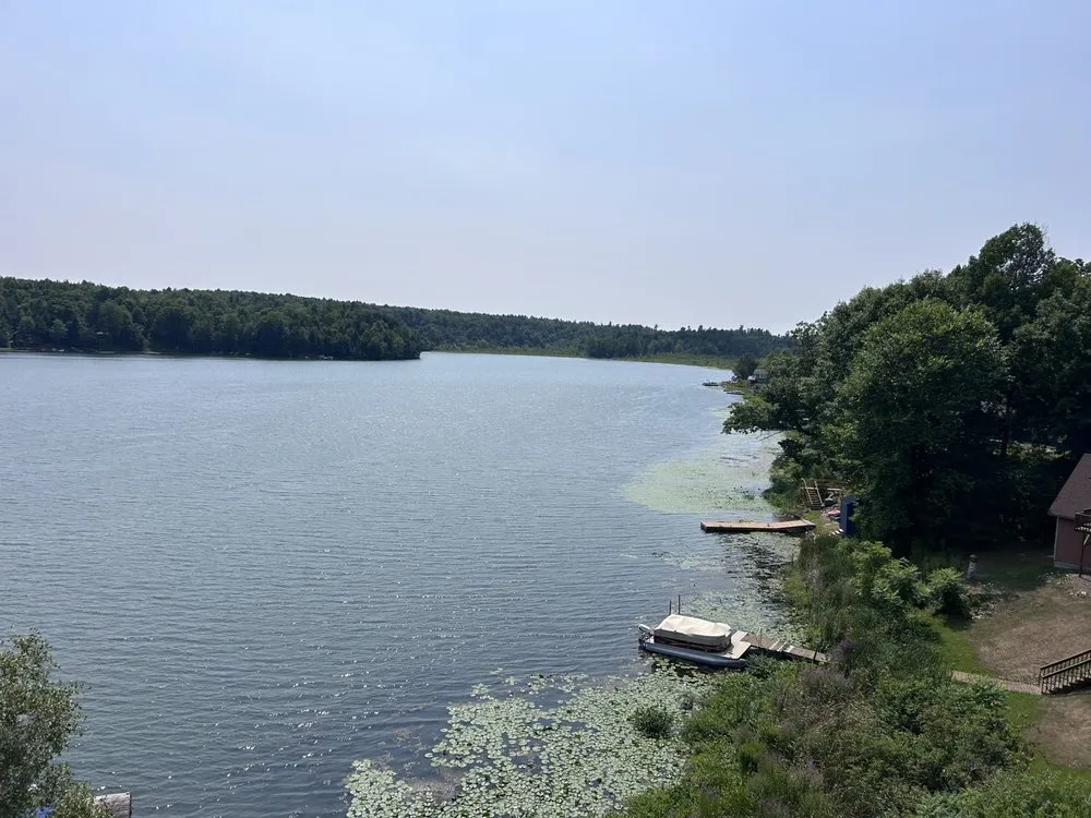 Slide of Black River Tree & Power