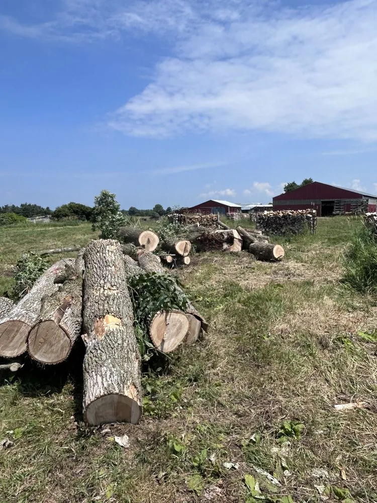 Slide of Black River Tree & Power