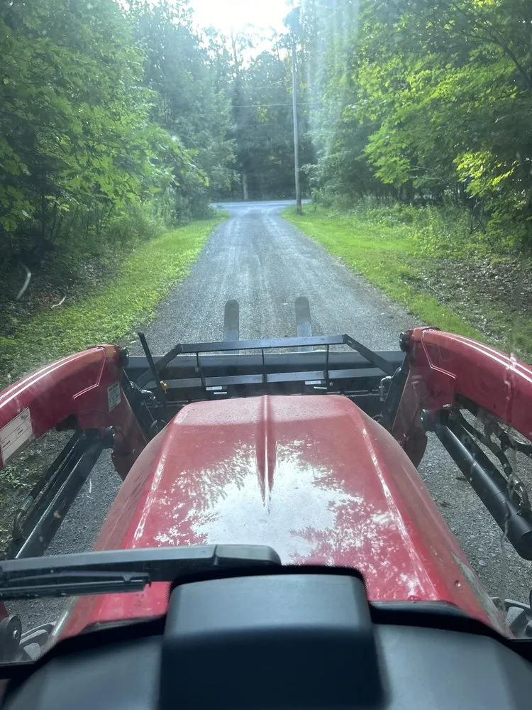 Slide of Black River Tree & Power