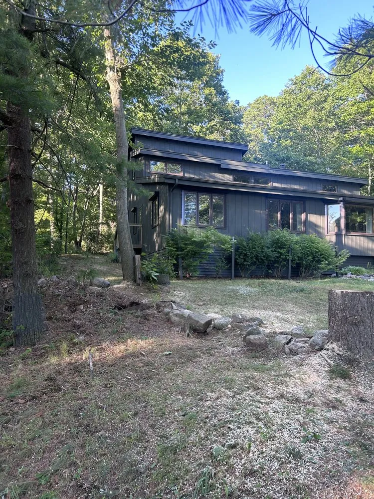 Slide of Black River Tree & Power