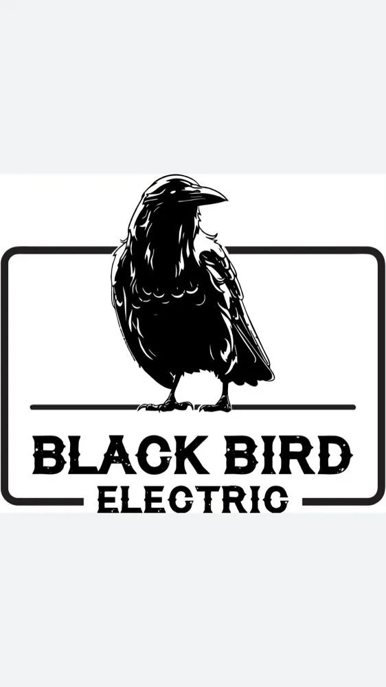 Slide of Blackbird Electric