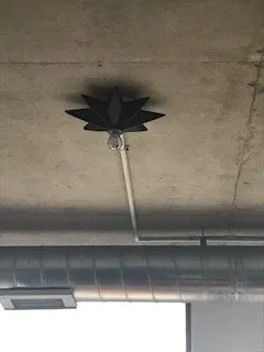 Slide of Blacklite Electric