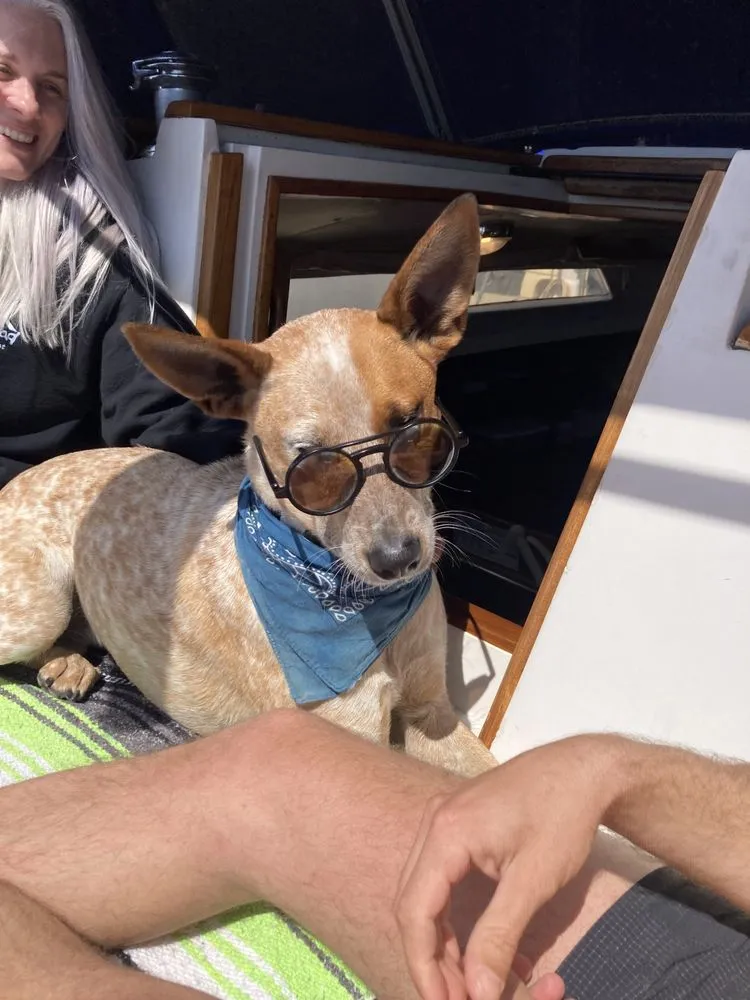 Slide of Blackwood Electric